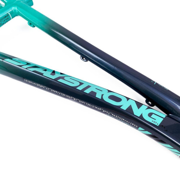 Рама BMX-race StayStrong V5 2024 Disc Charcoal-Mint PRO XL